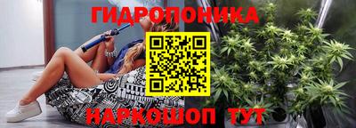 прущие грибы Уссурийск