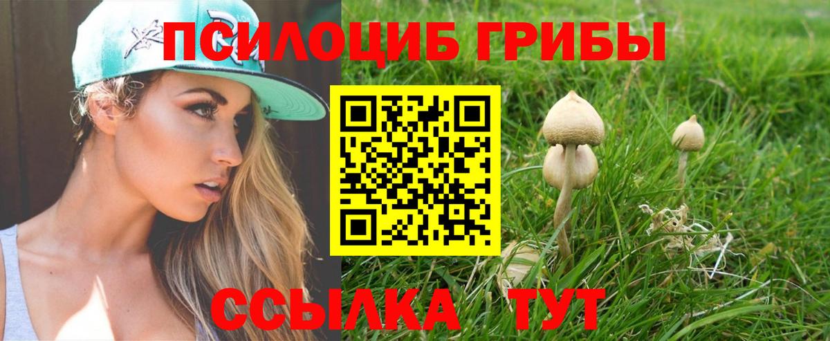 Галлюциногенные грибы ЛСД  Вход с VPN  Нижний Тагил 